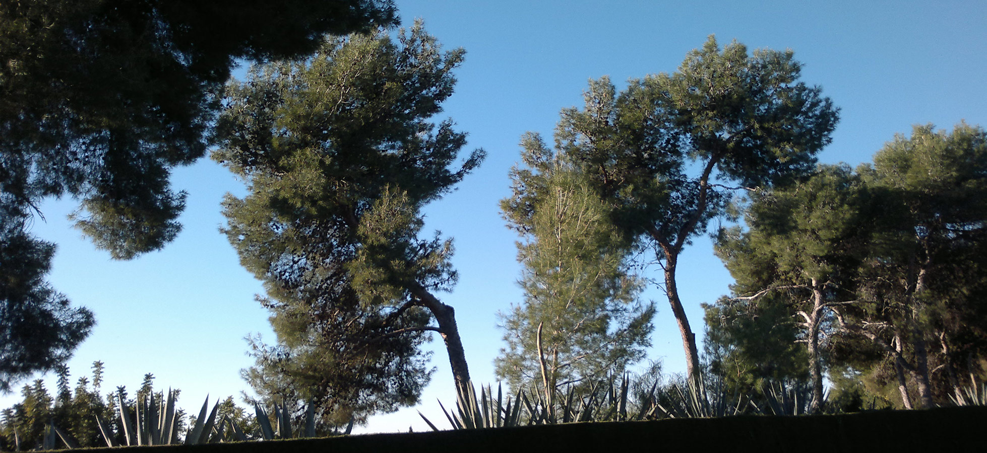 Ecological Garden, viveros y garden center en San Pedro Alcántara